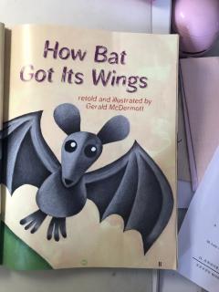 How Bat Got Its Wings.  iris