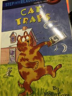 cat traps 713 michael
