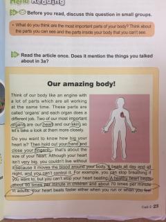 Our amazing body!