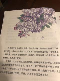 2丁香结