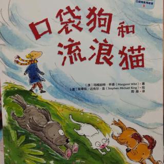 幼专附属幼儿园孙老师《口袋狗和流浪猫》