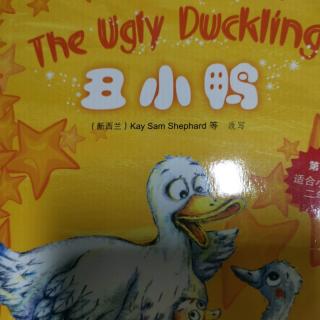 The Ugly Duckling chapter4