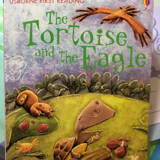20190714 The Tortoise and Eagle
