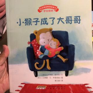 🐒小猴子成了大哥哥🐒