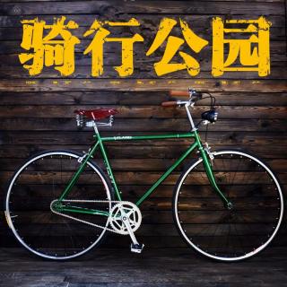 从北京第一条自行车专用道开通聊聊国内骑行环境