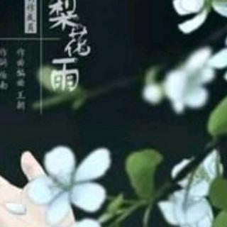 韩宝仪《梨花泪》