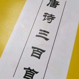 东郊