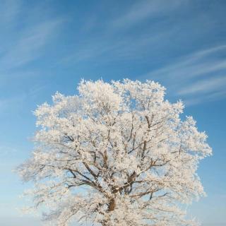 下雪了，天晴了