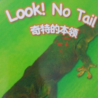Look!  No  Tail