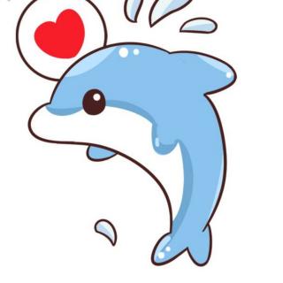 幸福的小海豚