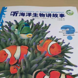 10.朗诵 听海洋生物讲故事