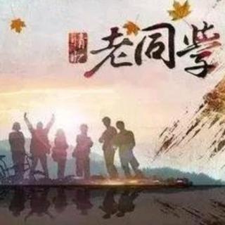 《跳板上的青葱岁月》