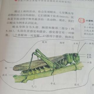 生物 14、15页