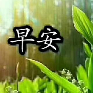 “心-道-德-事”四部曲的奥妙