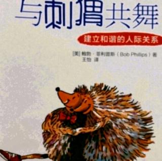 《与刺猬共舞》第7章:节奏和优先次序的问题