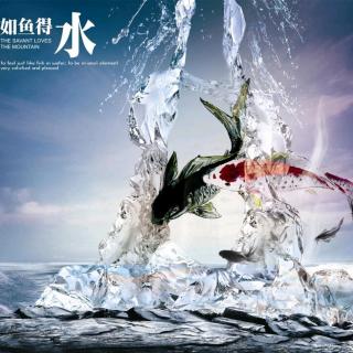 成语故事—如鱼得水 20190716