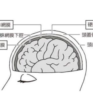 心理韧性4（养成心理韧性的7种技巧）