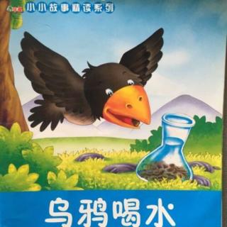 乌鸦喝水