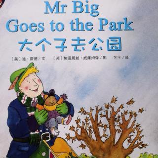 Mr  big  goes to the park
