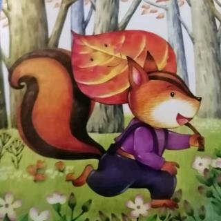 金波童话集《开满兔伞花的地方》