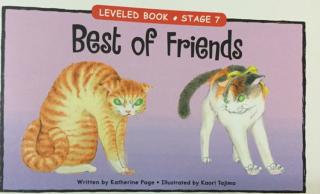 LEVELED BOOK-29-F《Best of Friends》