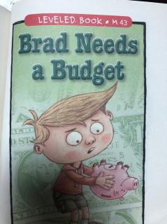 Brad Needs a Budget