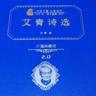 《维也纳》《一个黑人姑娘在歌唱》