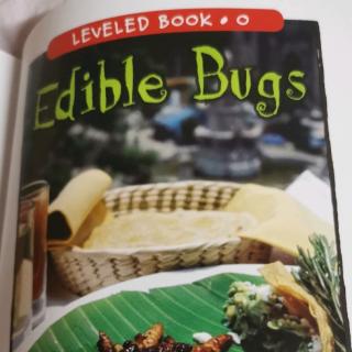 江尚玥-Edible Bugs