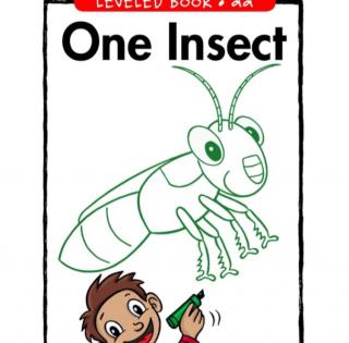 Raz aa One Insect