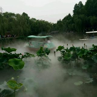 《今夜让我与你同醉》作者雨夜风玲