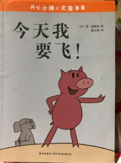 🐷今天我要飞！🐘