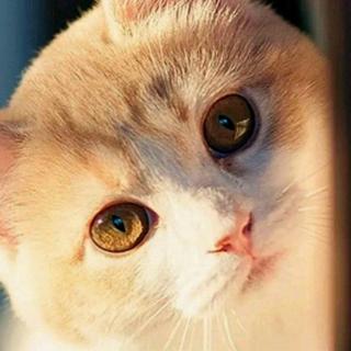 吴熙媛阅读海底两万里7月17日