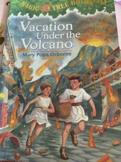 Vacation Under the Volcano(2)