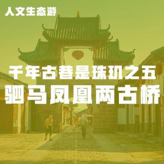 千年古巷是珠玑之五：驷马凤凰两古桥