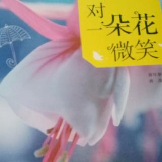 《对一朵花微笑》150~178。