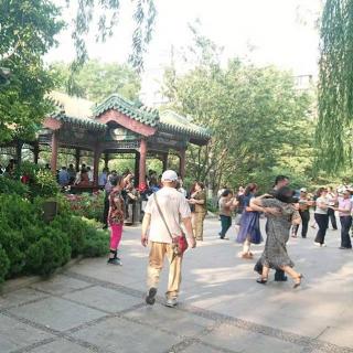 北京菖蒲河相亲角：老年人的爱，谎言与孤独