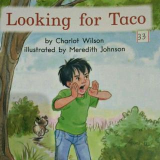 Looking for Taco