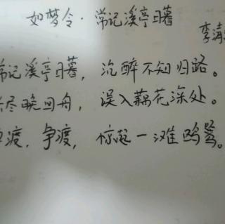 如夢令常記溪亭日暮宋李清照