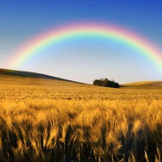 《over the rainbow》你们虽孤独却坚强，愿最终都能跨越彩虹🌈