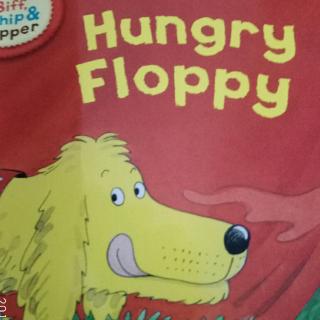Hungry  Floppy