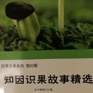 《知因识果故事精选》故事101和故事102