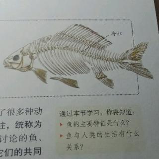 生物 18、19页