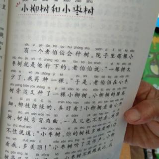 小柳树和小枣树第四天张航峻