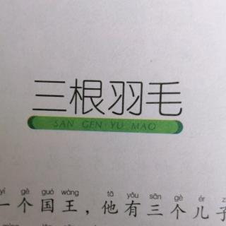 三根羽毛