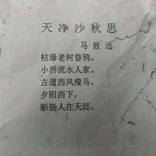 天净沙秋思