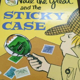 nate _sticky case