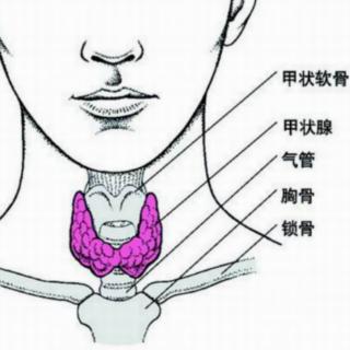 甲状腺癌的病因是什么？