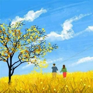 《青春的风》作者 汪国真