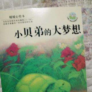 小贝弟的梦想