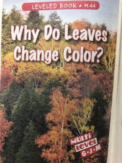 Why Do Leaves Change Color?